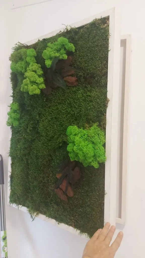 Taller de ecoarte con musgos y plantas preservados