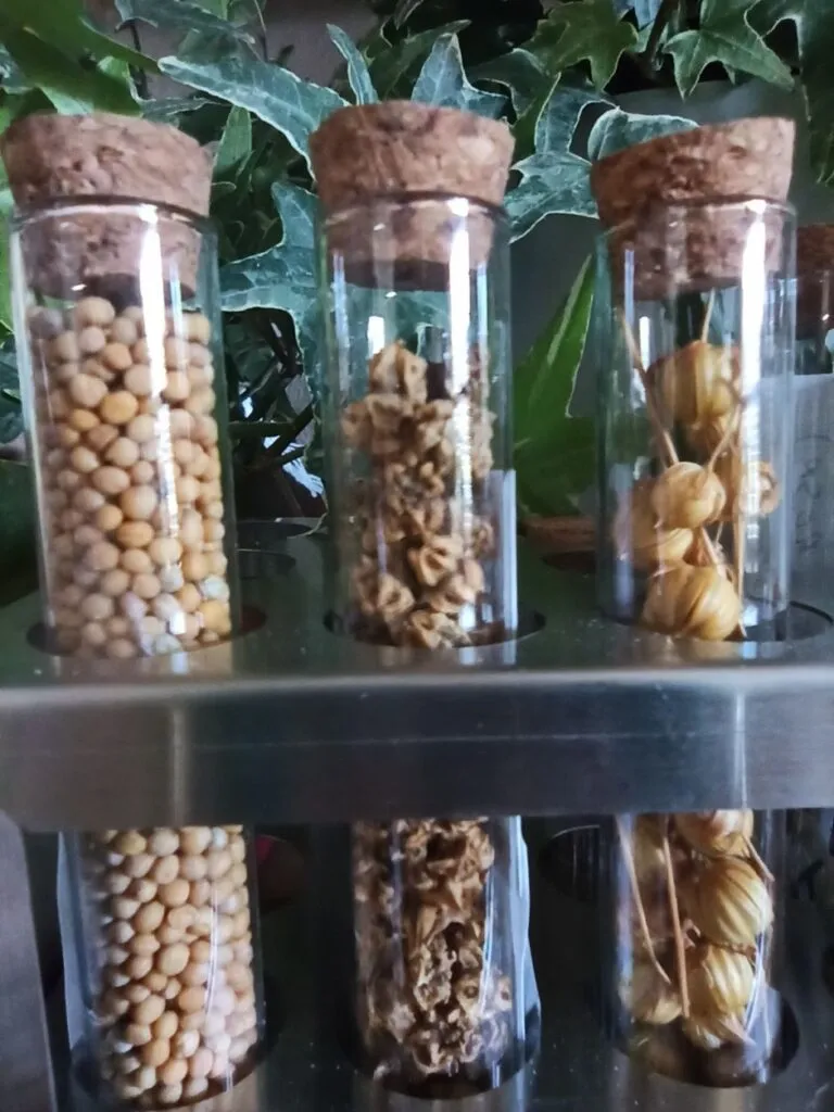 la semillateca de las bibliotecas municipales de sevilla
