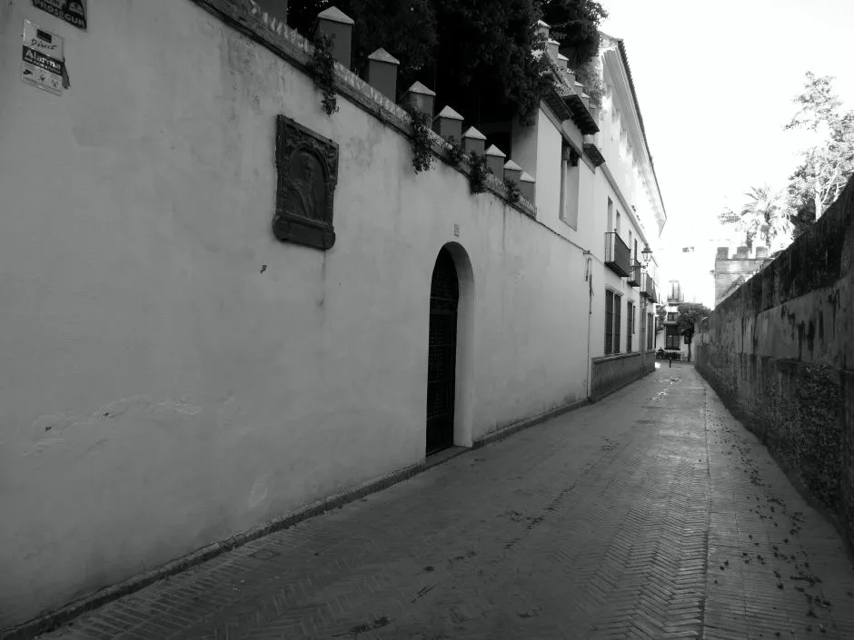 "Paseando por la Sevilla literaria y cultural."